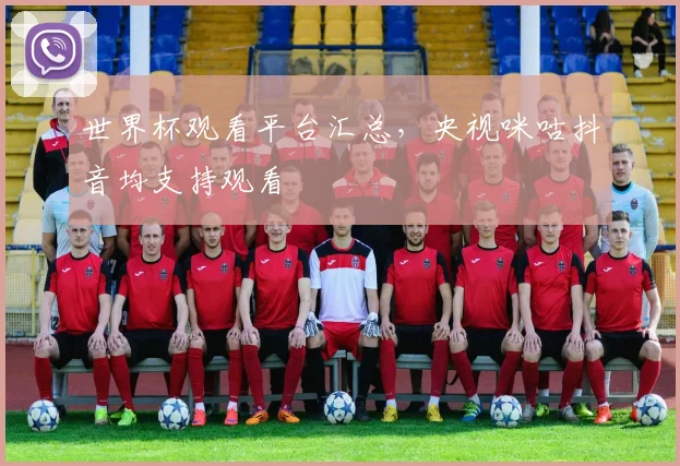世界杯观看平台汇总,央视咪咕抖音均支持观看