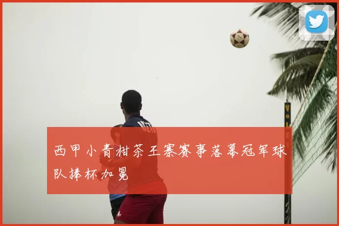 西甲小青柑茶王寨赛事落幕冠军球队捧杯加冕