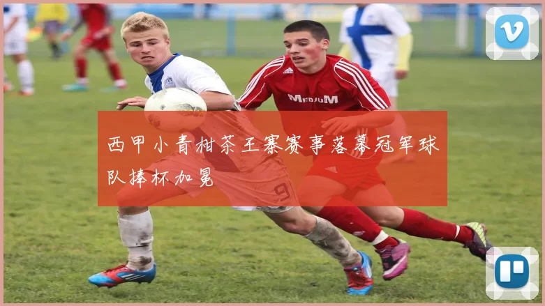 西甲小青柑茶王寨赛事落幕冠军球队捧杯加冕